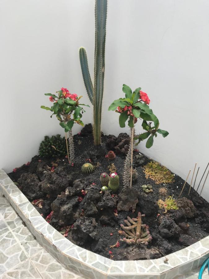 Apartamento Piscis بويرتو ذيل كارمين المظهر الخارجي الصورة